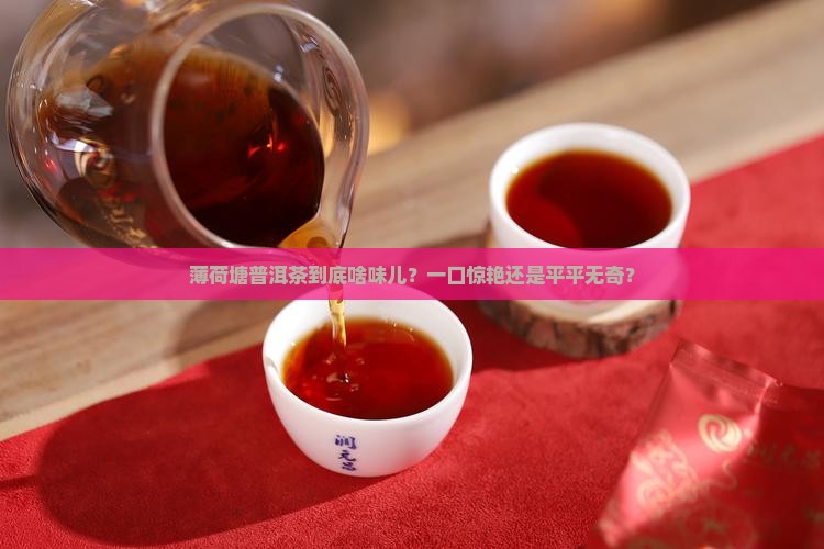 薄荷塘普洱茶口味特点
