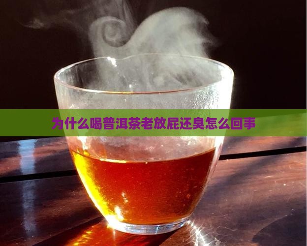 为什么喝普洱茶老放屁 为什么喝普洱茶老放屁