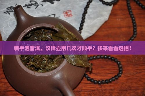 汉铎壶泡普洱茶