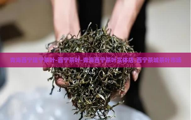 青海西宁建宁茶叶