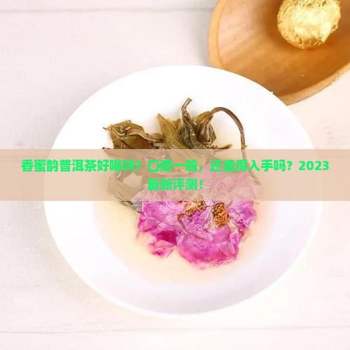 香蜜韵普洱茶好喝吗怎么样