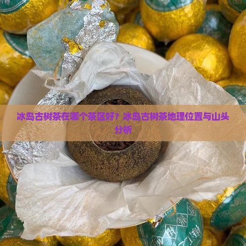 冰岛古树茶在哪个茶区