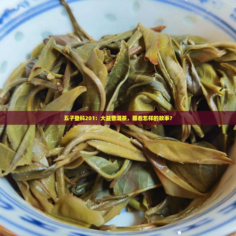 大益普洱茶五子登科201
