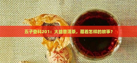 大益普洱茶五子登科201
