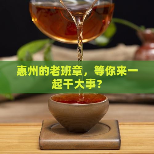 惠州老班章招商加盟