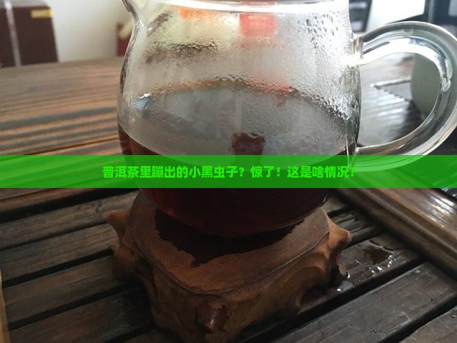 普洱茶里的黑色小虫子