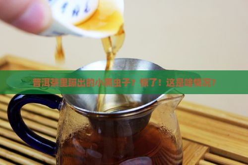 普洱茶里的黑色小虫子