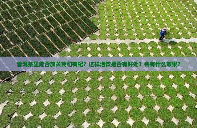 普洱茶里能否放黄芪和枸杞