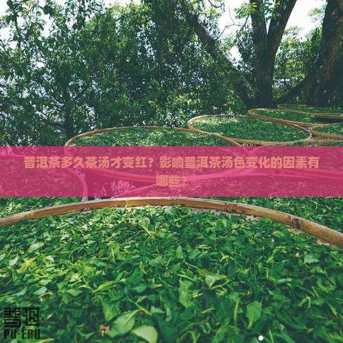 普洱茶多久茶汤才变红呢