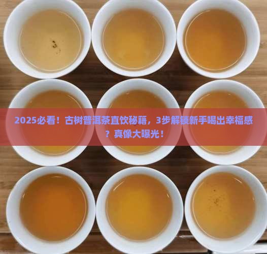 古树普洱茶直饮