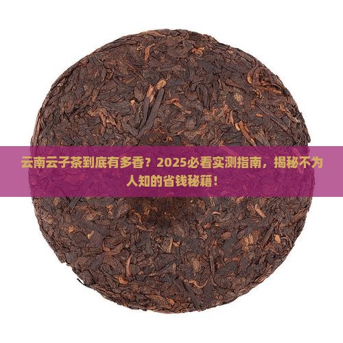 云南云子茶怎样