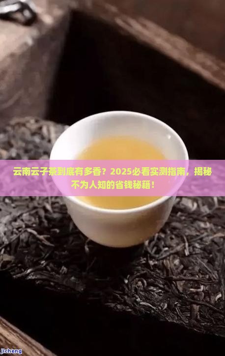 云南云子茶怎样