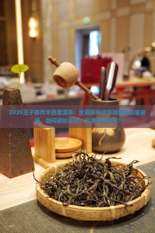 王子春乔木熟普洱茶