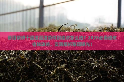 普洱茶烘干温度湿度条件