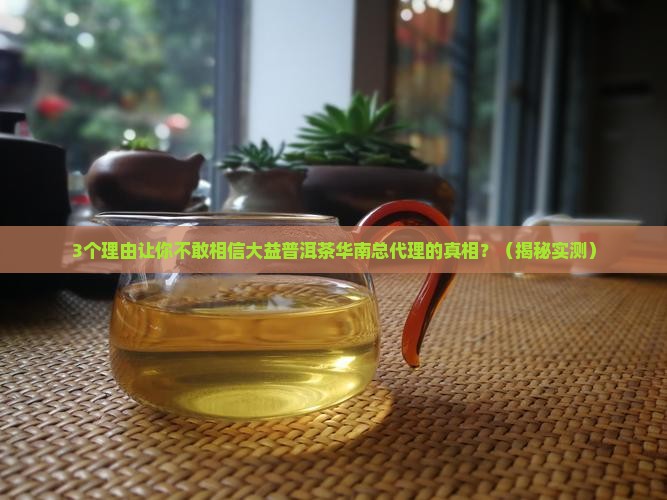 大益普洱茶华南总代理