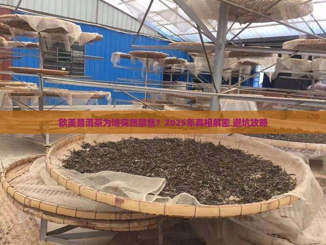 欧美普洱茶禁售时间查询