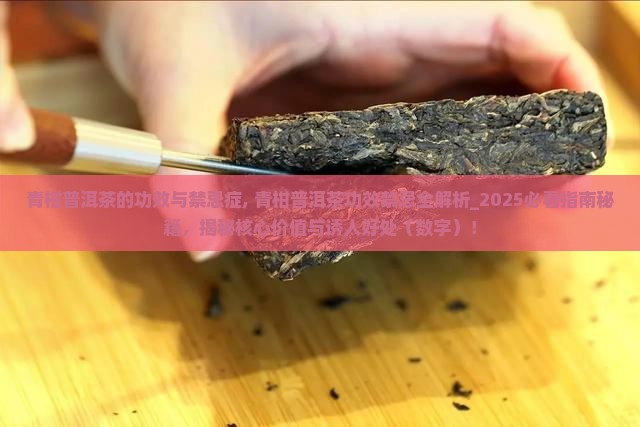 青柑普洱茶的功效与禁忌症