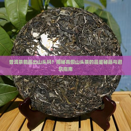 普洱茶能品出山头吗