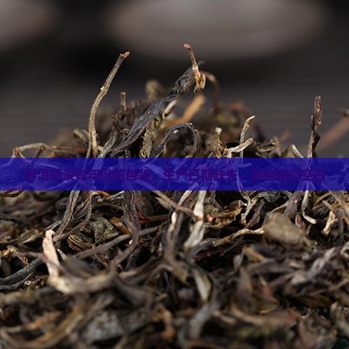 普洱茶没有年份的包装