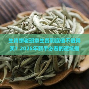 生肖饼老班章生普