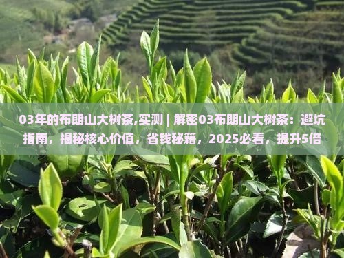 03年的布朗山大树茶