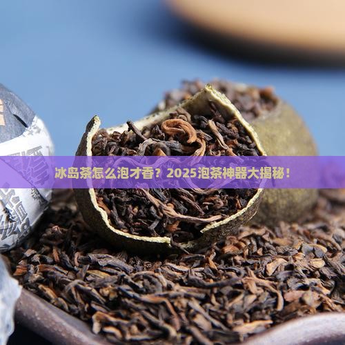 冰岛茶用什么仪器泡的好
