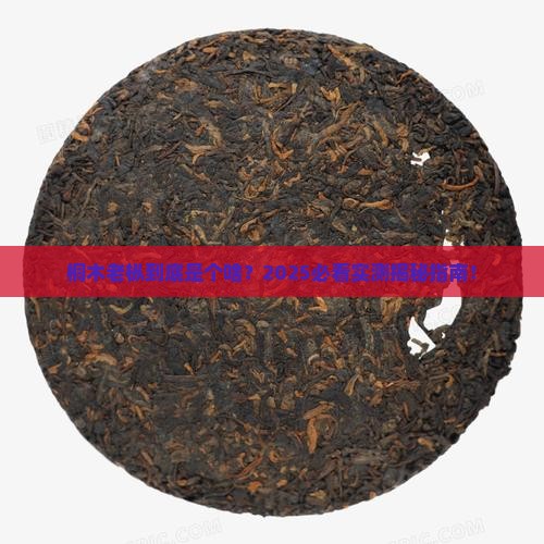 桐木老枞是什么茶