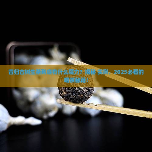 昔归古树生茶有哪些特点