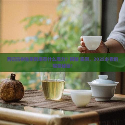昔归古树生茶有哪些特点