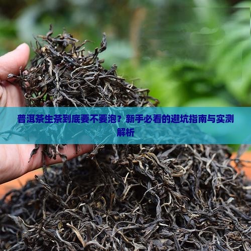 普洱茶生茶要不要泡