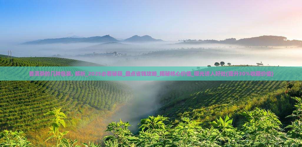 普洱茶的几种包装
