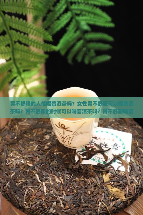 胃不舒服的人能喝普洱茶吗