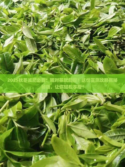 秋冬减肥喝什么茶对身体好
