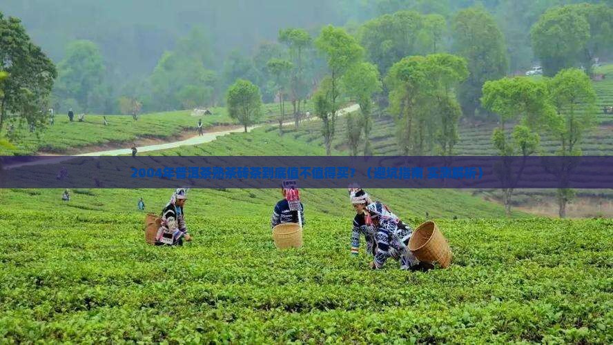 2004年普洱茶熟茶砖茶