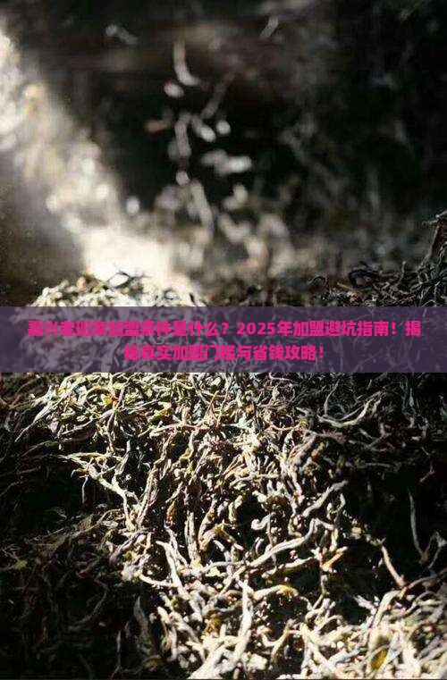 嘉兴老班章加盟条件是什么