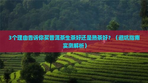 买普洱茶生茶好还是熟茶好