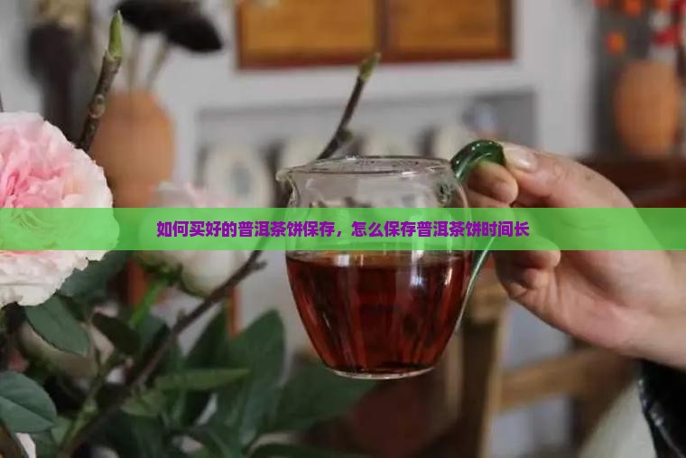 如何买好的普洱茶饼保存