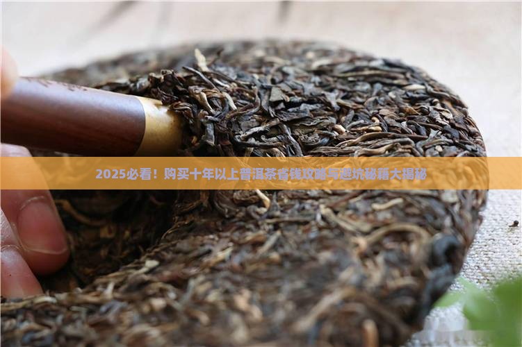 购买十年以上普洱茶
