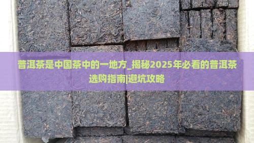 普洱茶是中国茶中的一地方