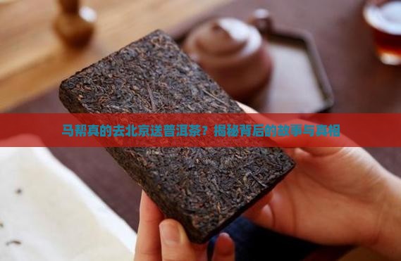 马帮去北京送普洱茶是真的吗