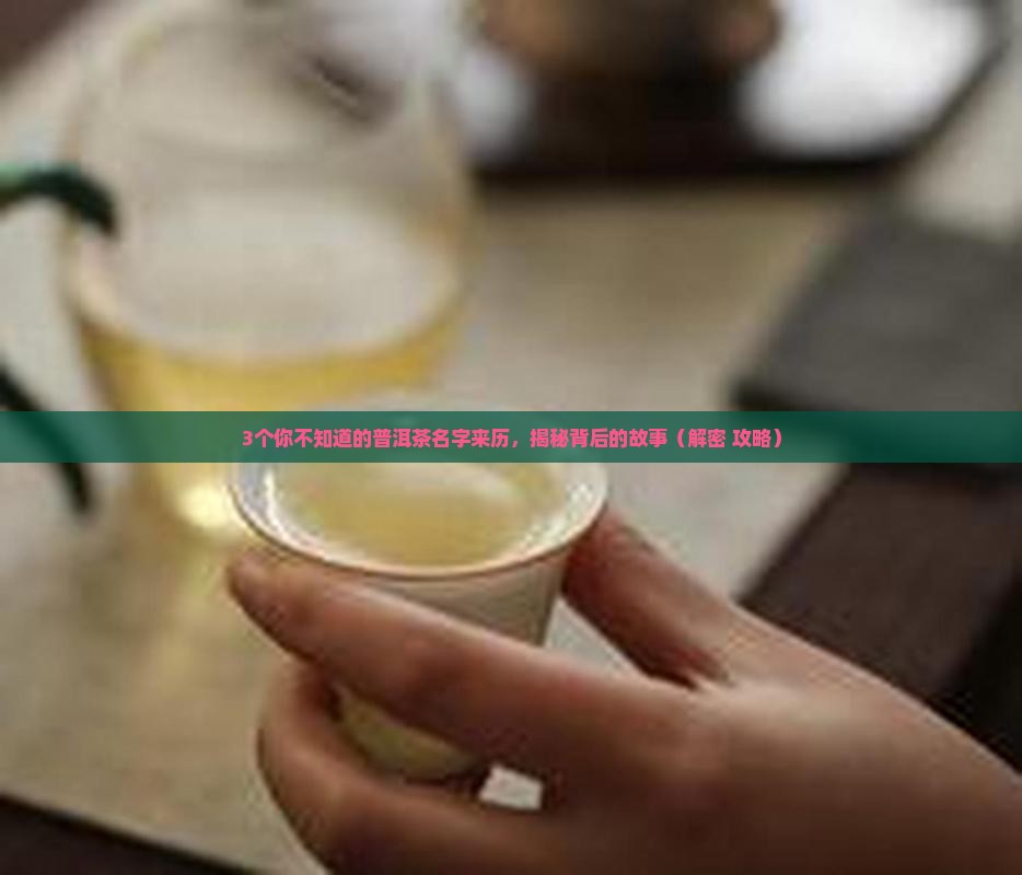 普洱茶名字的历史