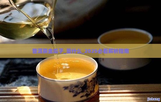 普洱茶金瓜子是什么