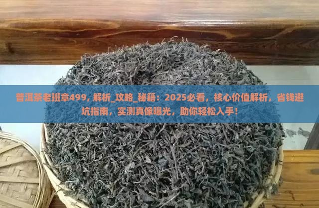 普洱茶老班章499