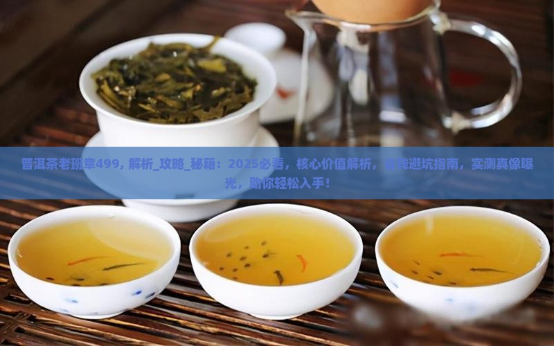 普洱茶老班章499