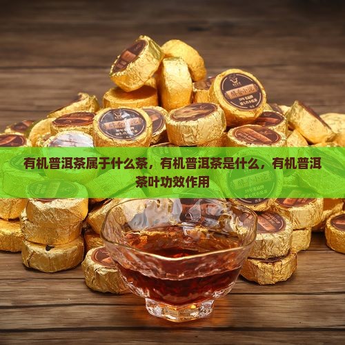 有机普洱茶属于什么茶