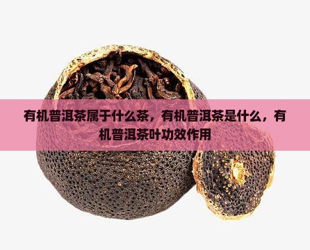 有机普洱茶属于什么茶