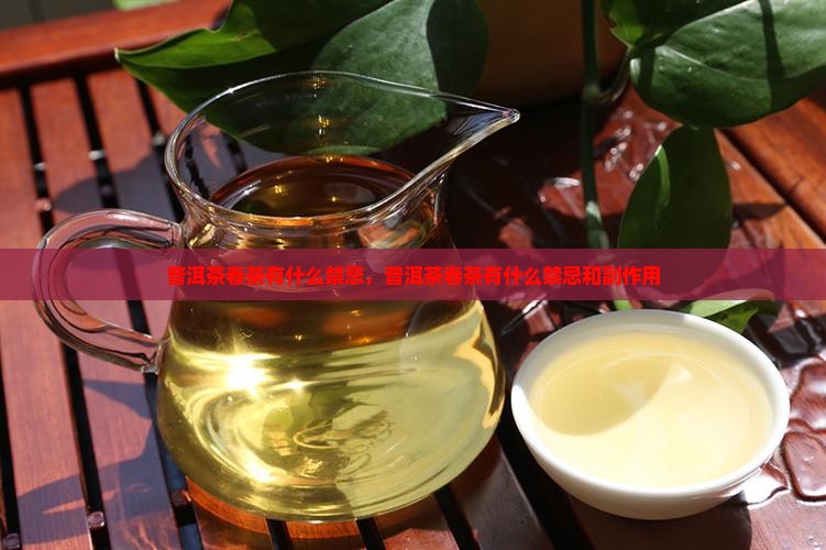 普洱茶春茶有什么禁忌