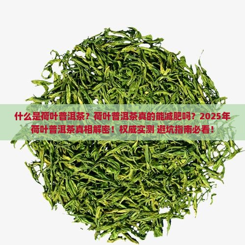 什么是荷叶普洱茶