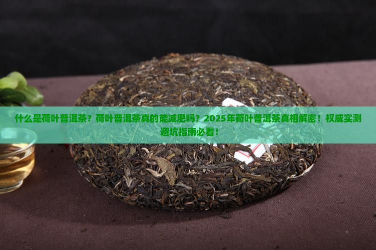 什么是荷叶普洱茶