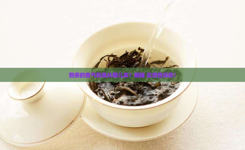 熟茶的香气来自于哪里